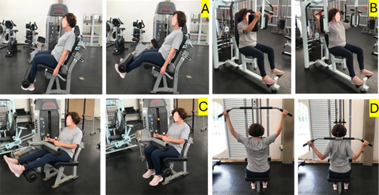 FAPSEP Older Adult Weight Training