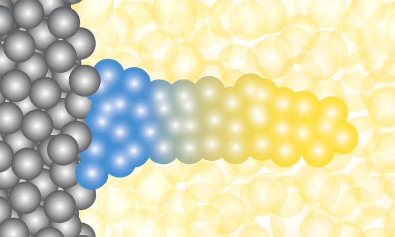 FCM Memristor Filament