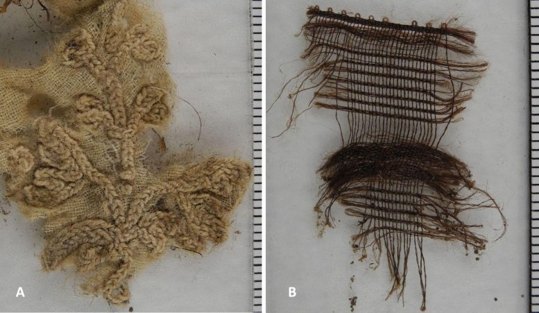 Fabric Found in the Mummy’s Abdominal Cave