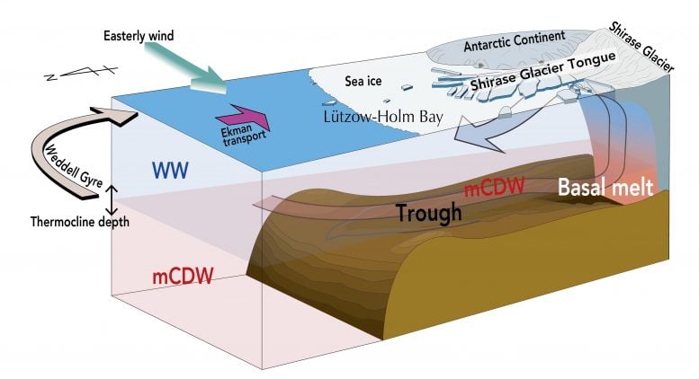 Factors Influencing Melting of Shirase Glacier