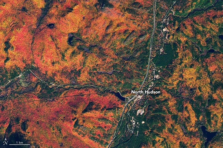 Fall Colors North Hudson
