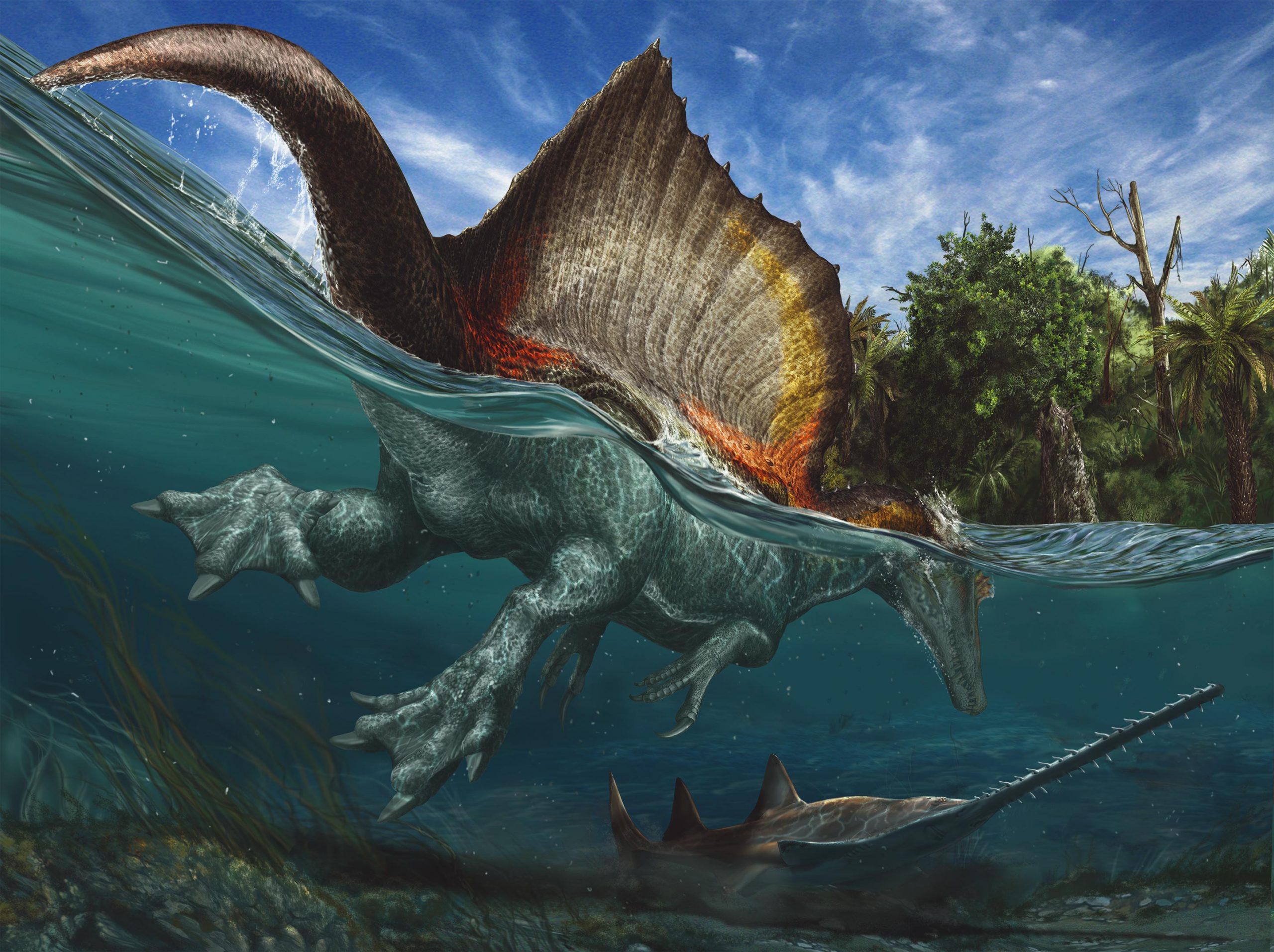 Paleontologists Reveal Jurassic Park in Eastern Morocco