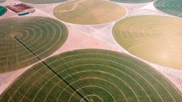 Farm Field Center Pivot Irrigation Circles