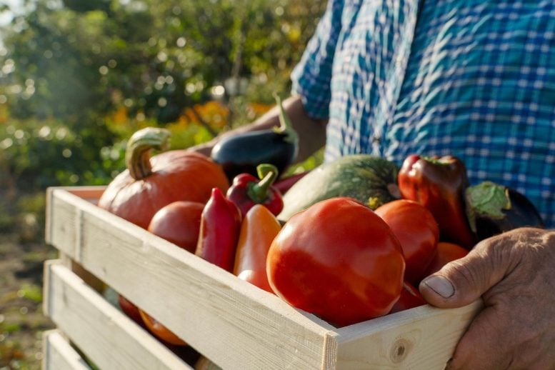 Scientists Reveal Eating Fruits and Vegetables May Increase Your Risk of Lung Cancer