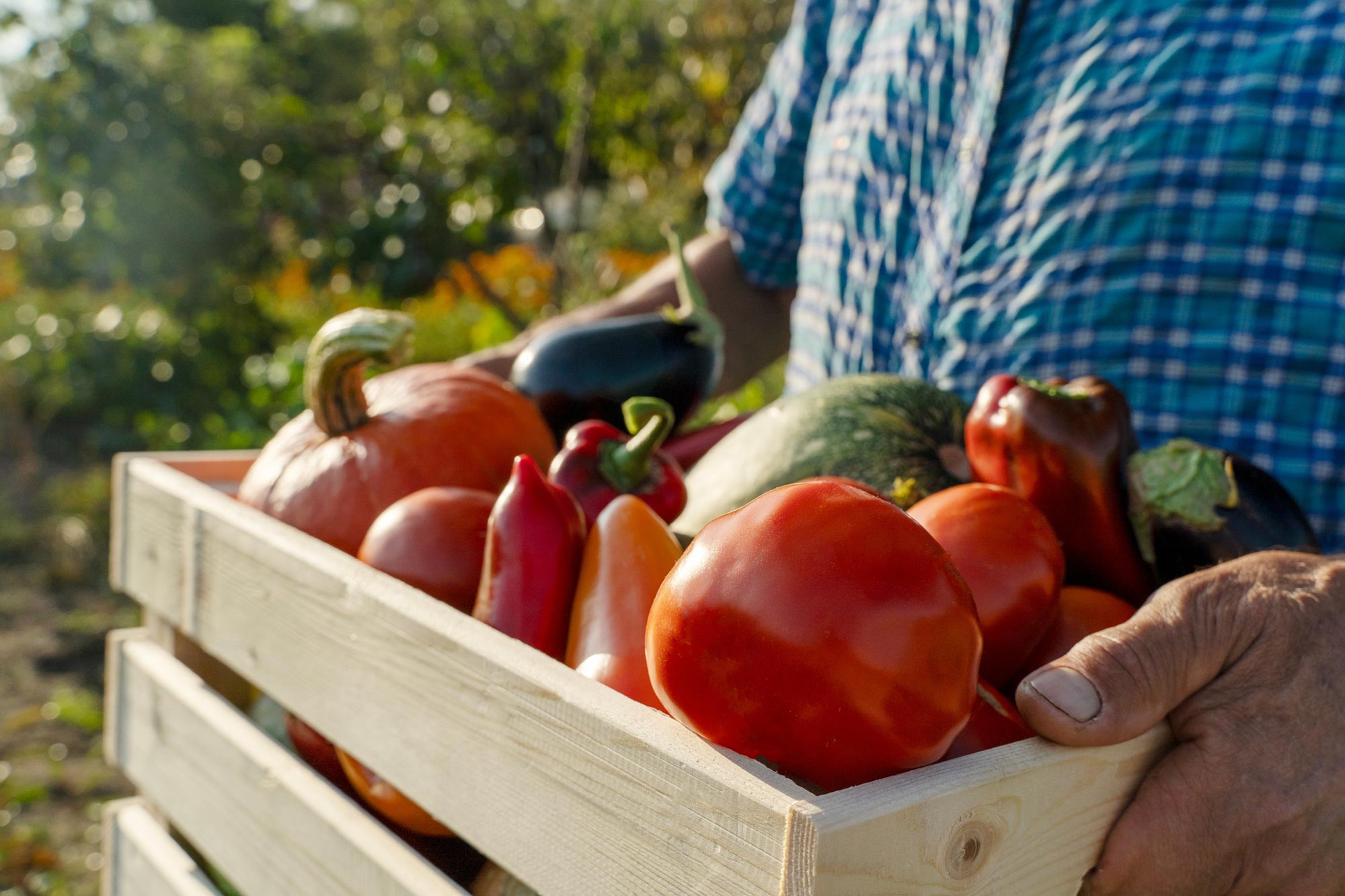 Scientists Reveal Eating Fruits and Vegetables May Increase Your Risk of Lung Cancer