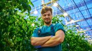 Farmer in Modern Greenhouse