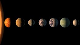 Fast Litho-Panspermia in the Habitable Zone of the TRAPPIST-1 System