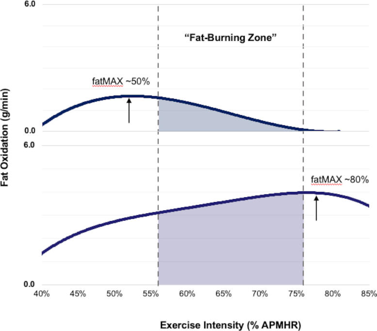 Fat Burning During Exercise Graph