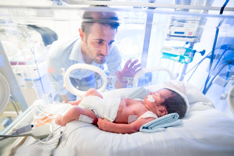 Father Watching Newborn Baby Hospital Incubator