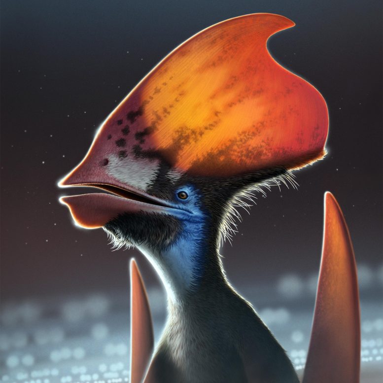 Feathered Pterosaur Tupandactylus Crop