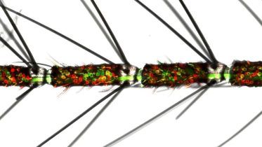 Female Mosquito Antenna With Olfactory Neurons