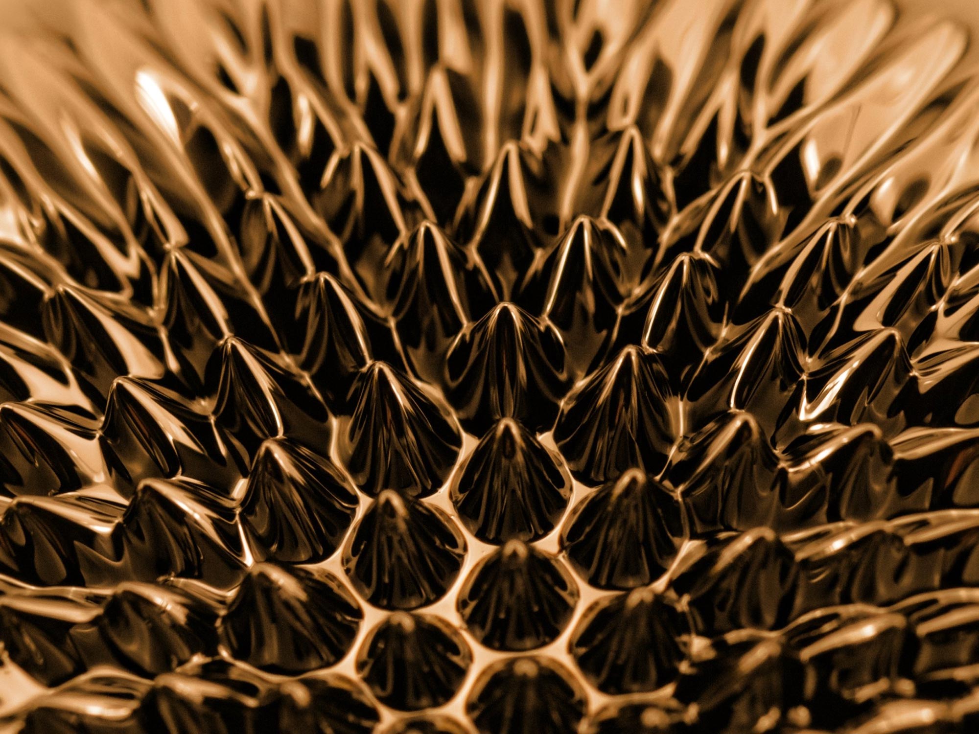 Ferrofluid: Liquid Art