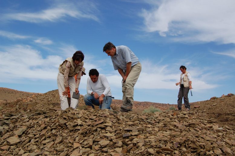 Fezouata Fossil Site in Morocco