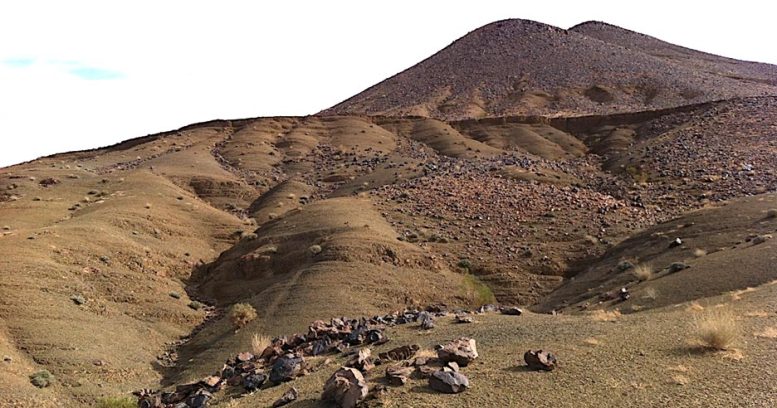 Fezouata Shale Fossil Site