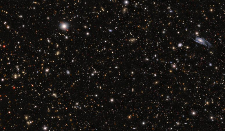 Ffield Around the Progenitor to Supernova SN 2026gzf
