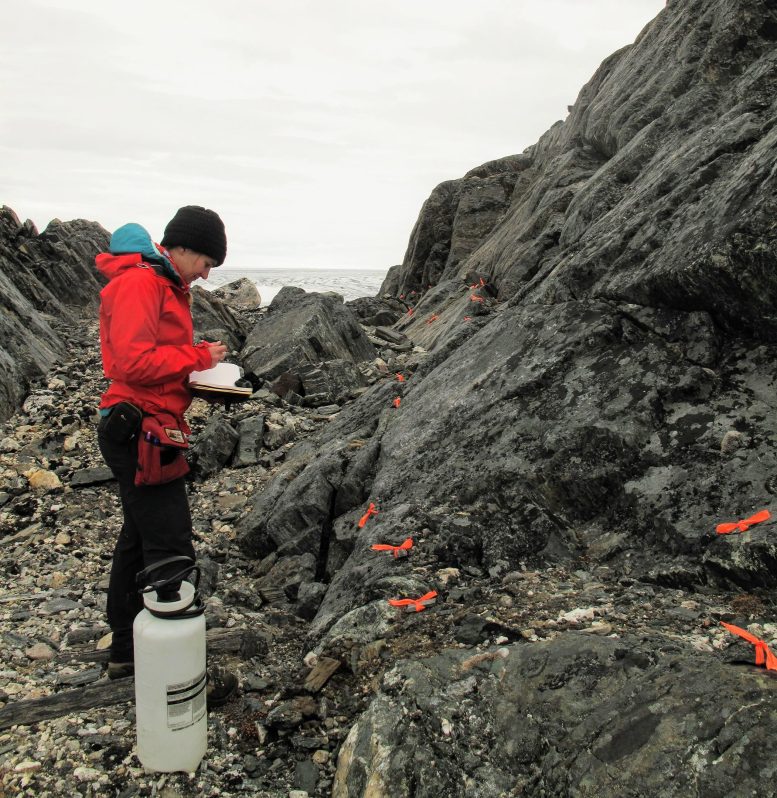 Feldforschung, Isua, Grönland