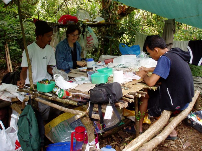 Fieldwork in the Philippines