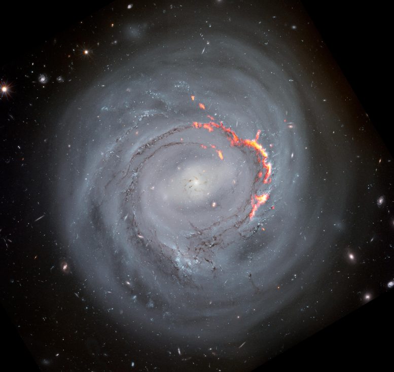 Filament Structures Left Behind by Ram Pressure Stripping NGC4921