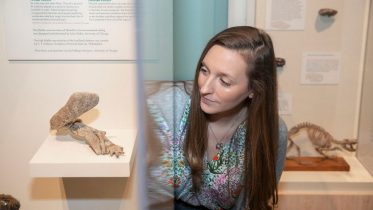 Fin to Limb Evolution