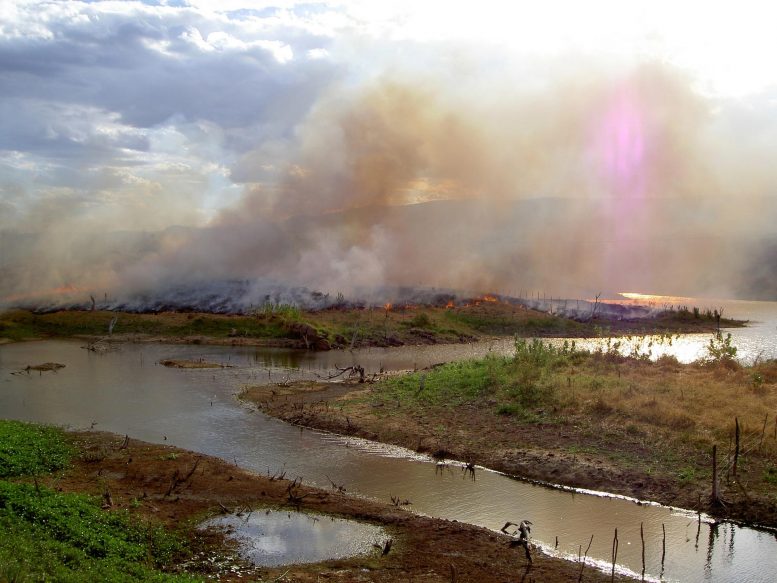 Fire Amazon River Brazil