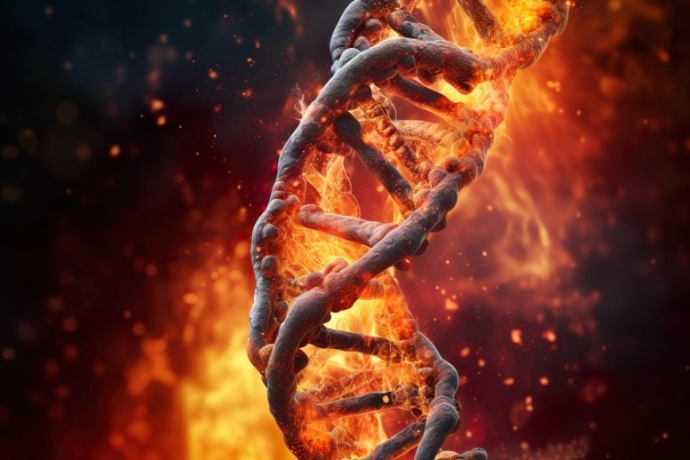 Fire DNA Damage