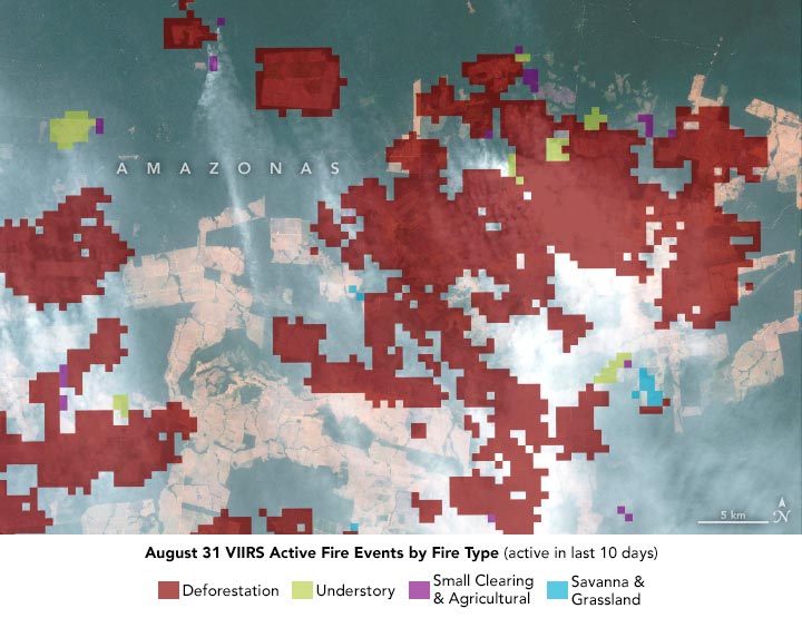 Fire Events by Fire Type Amazonas August 2021 Annotated