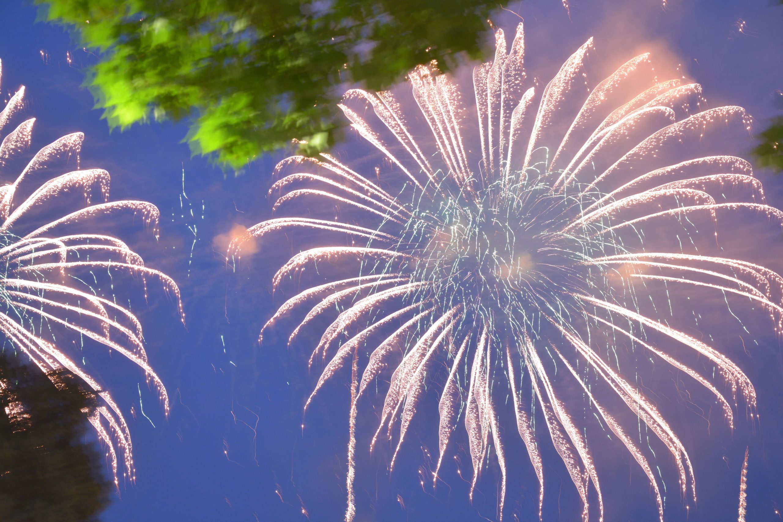 The Hidden Costs of Celebration