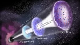 First Detection of Polarized Radio Waves in Gamma Ray Burst Jets