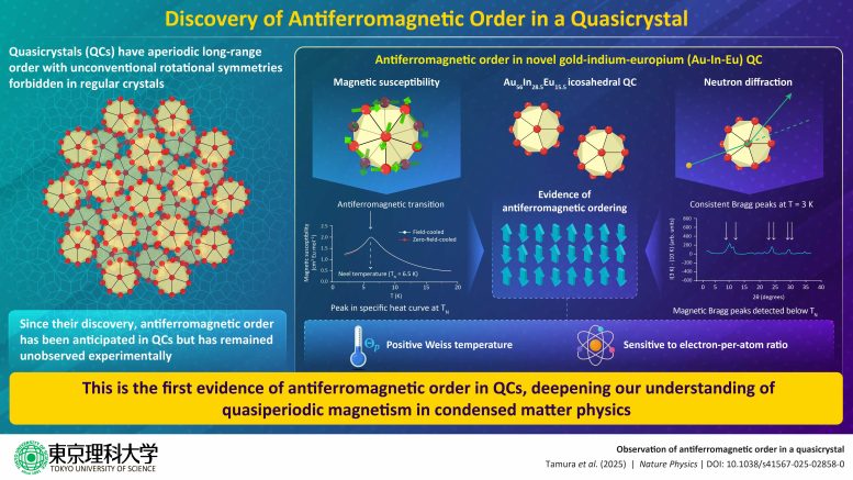 First Direct Observation of Antiferromagnetism in an Icosahedral Quasicrystal Graphic