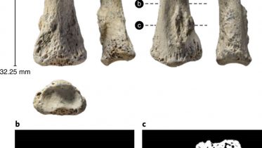 First Homo Sapiens Fossil in Saudi Arabia