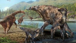 First North American Co occurrence of Hadrosaur and Therizinosaur