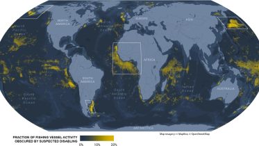 Fishing Vessel Activity Global Map