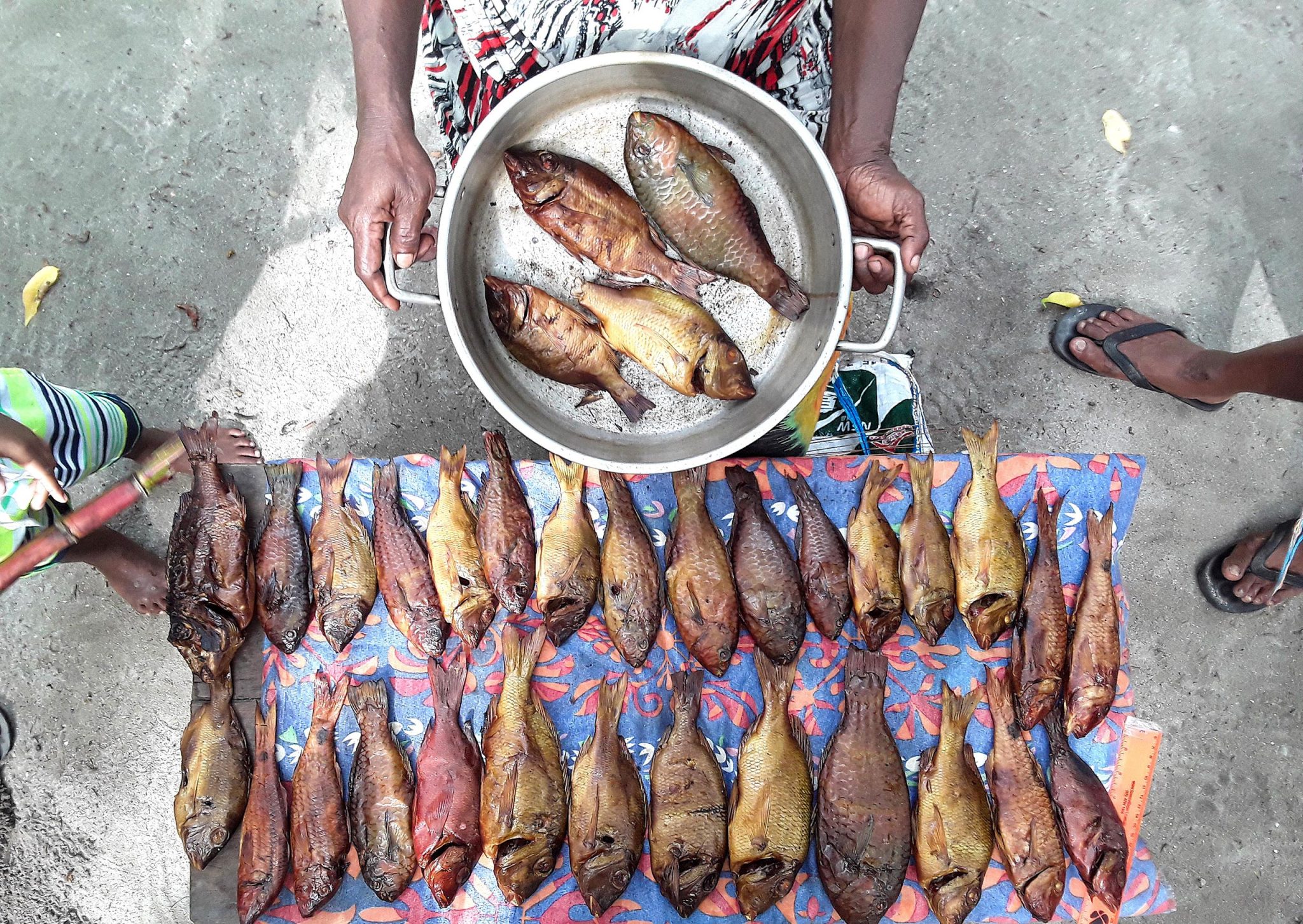 This Simple Change Could Unlock Millions of Meals From the Sea