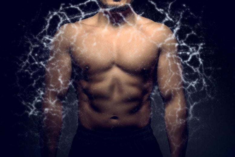 Investigadores descubren un gen que hace que tus músculos sean notablemente más fuertes
