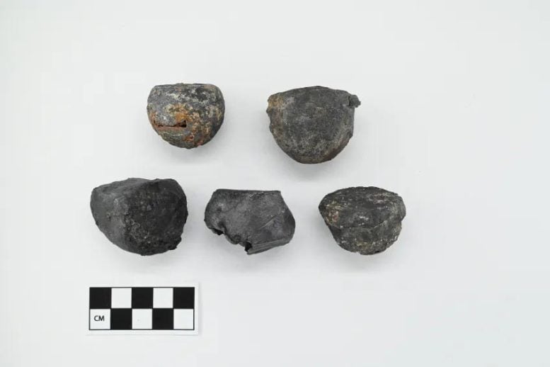 Five Deformed Lead Shot