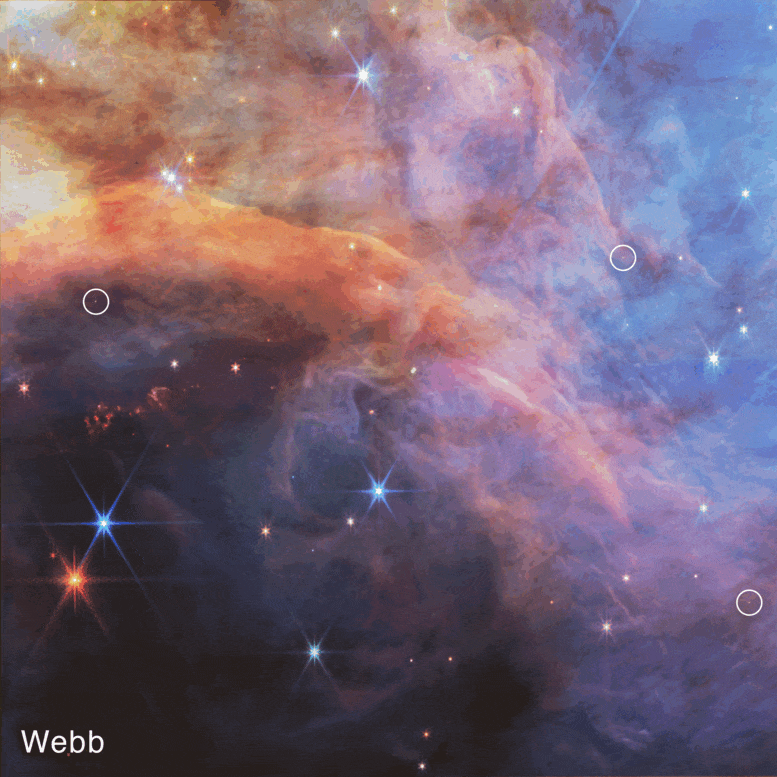 불꽃 성운 허블 및 웹 관측