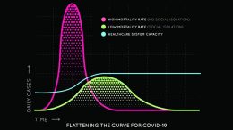 Flattening the COVID-19 Curve