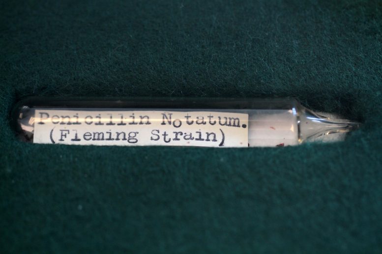 Fleming Penicillin Sample Tube