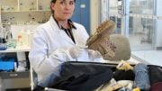Flinders University Forensic DNA Technology