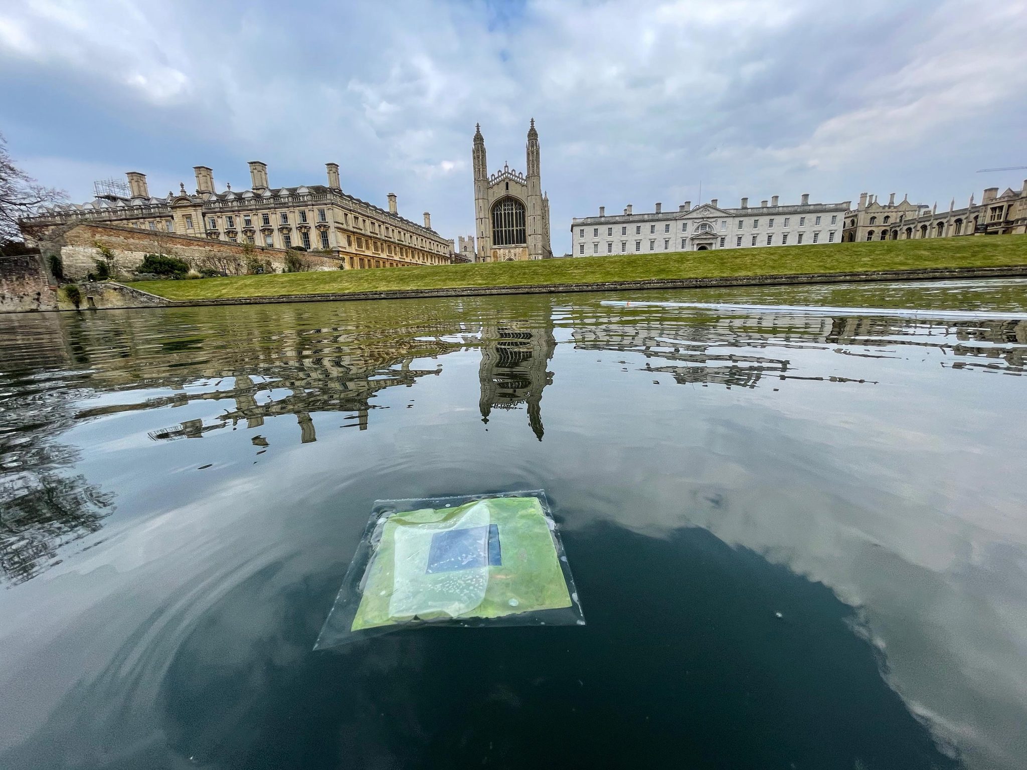 Floating Artifical Leaf Cambridge