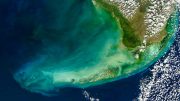 Florida Reef Tract