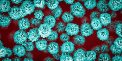 Flower-Like Zinc Oxide Particles