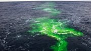 Fluorescent Dye Gulf Stream