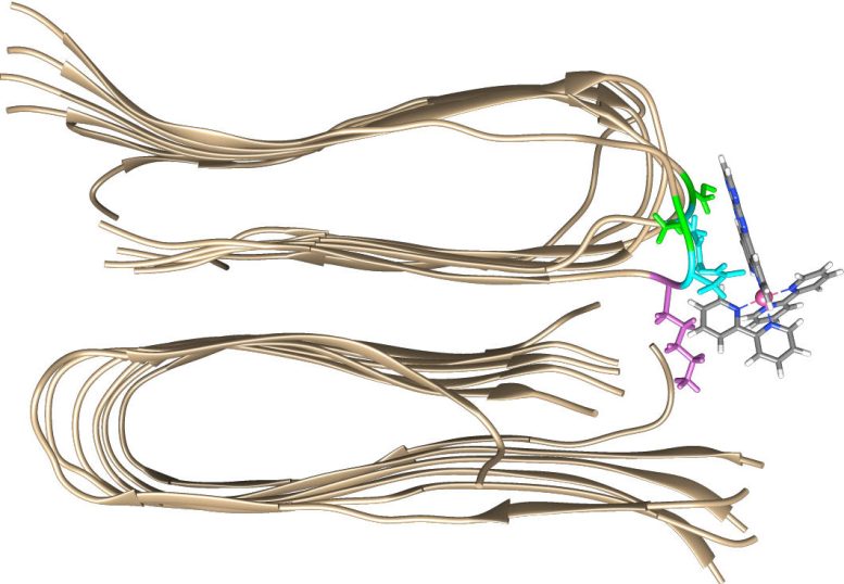 Fluorescent Dye Molecule Binds to a Second Binding Site