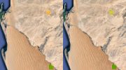 Fog Related Vegetation Changes Namib Desert