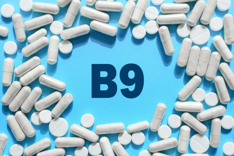 Folate Vitamin B9 Supplements