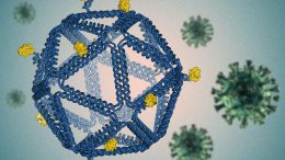 Folding DNA Virus Structure