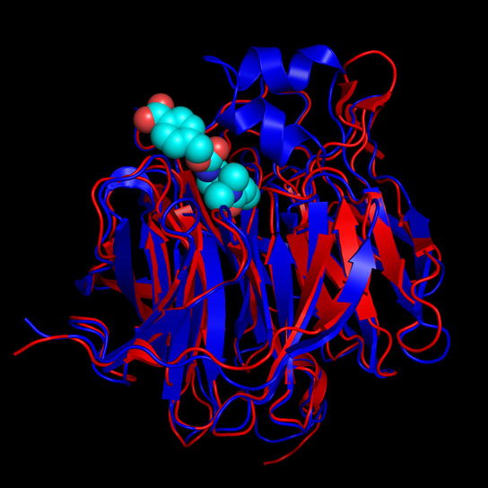 Foldit Protein Folding Game Remodels Enzyme