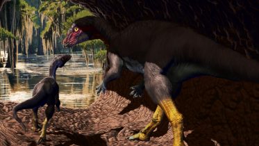 Scientists Discover Unusual New Dinosaur Species That Lived Underground