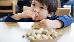 Food Allergies Child Eating Peanuts